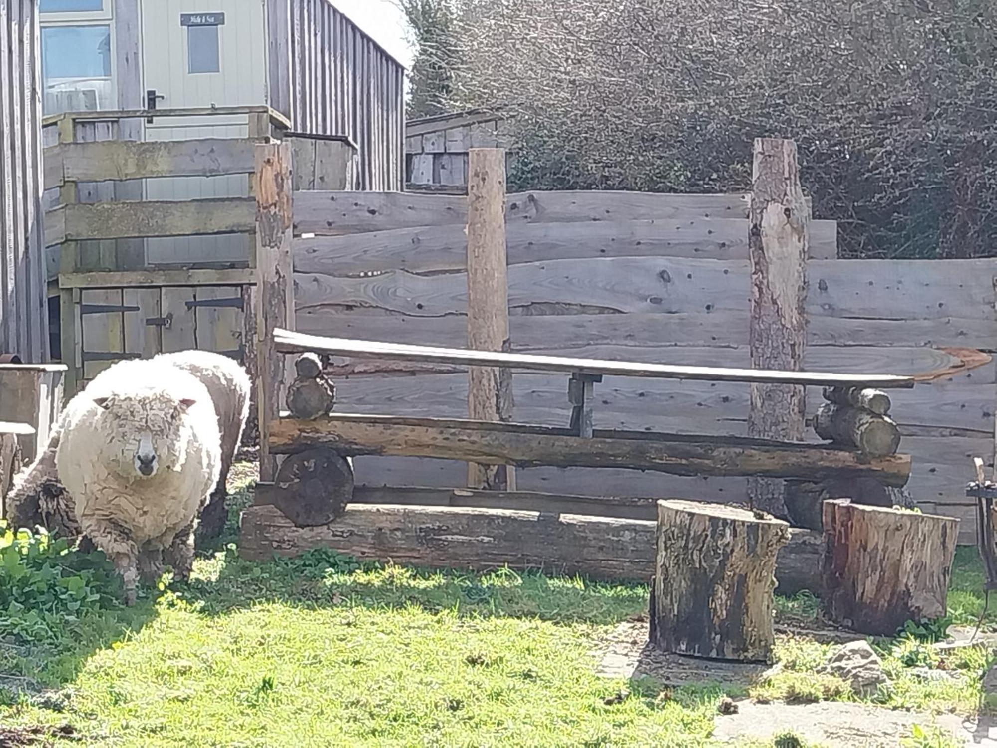 Meadowbeck - Shepherd Huts Fylingdales Zewnętrze zdjęcie