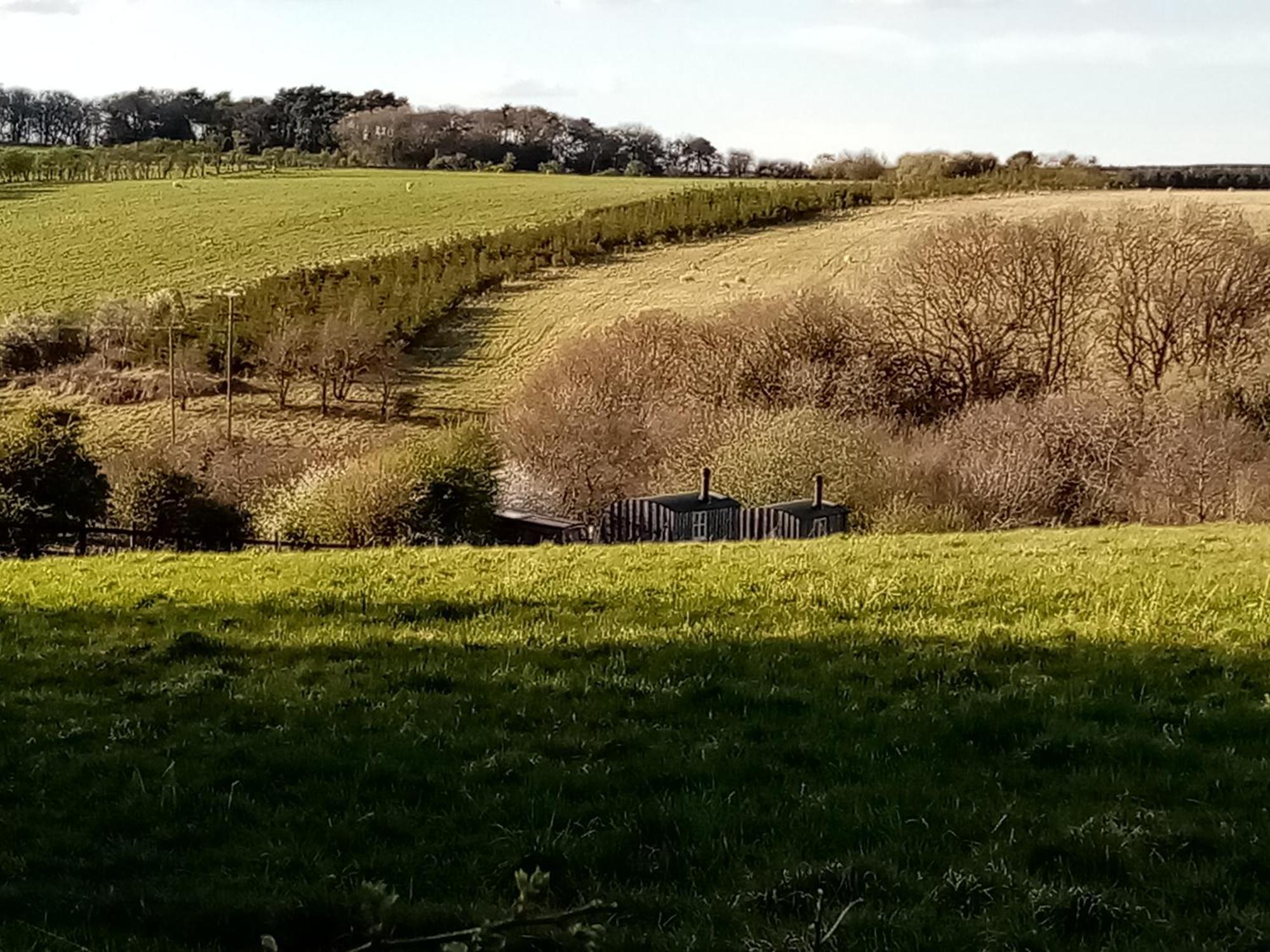 Meadowbeck - Shepherd Huts Fylingdales Zewnętrze zdjęcie