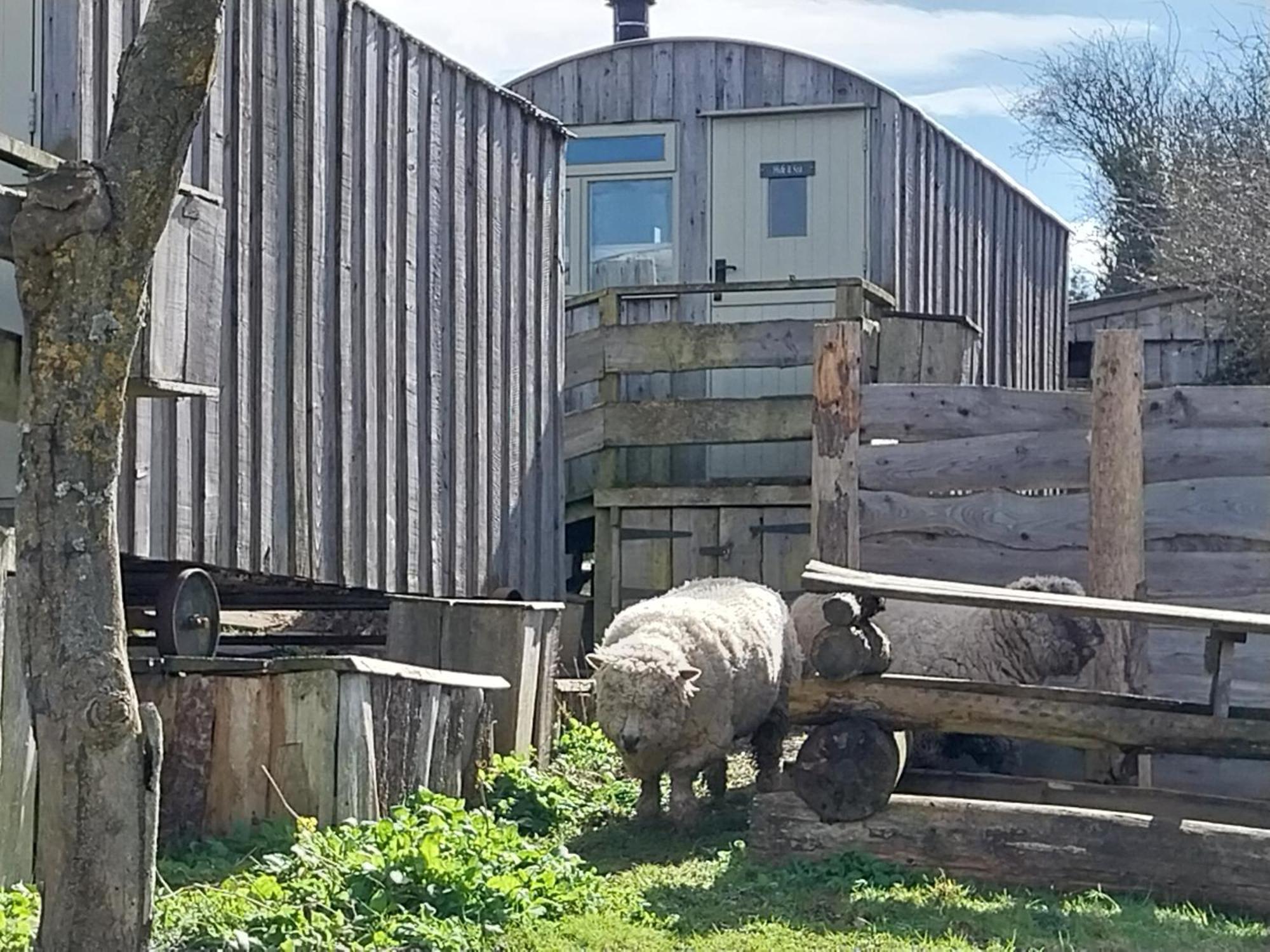 Meadowbeck - Shepherd Huts Fylingdales Zewnętrze zdjęcie
