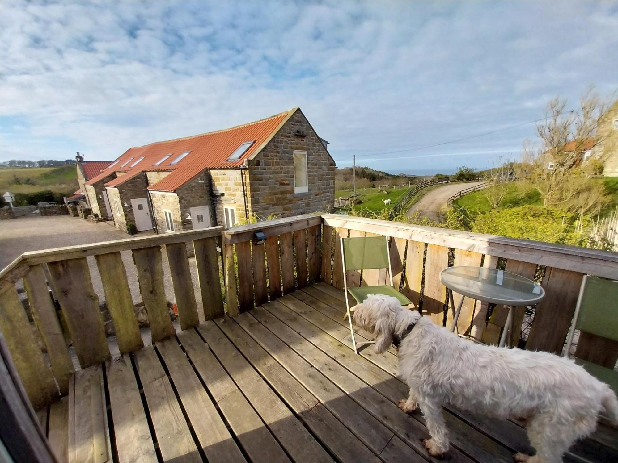 Meadowbeck - Shepherd Huts Fylingdales Zewnętrze zdjęcie