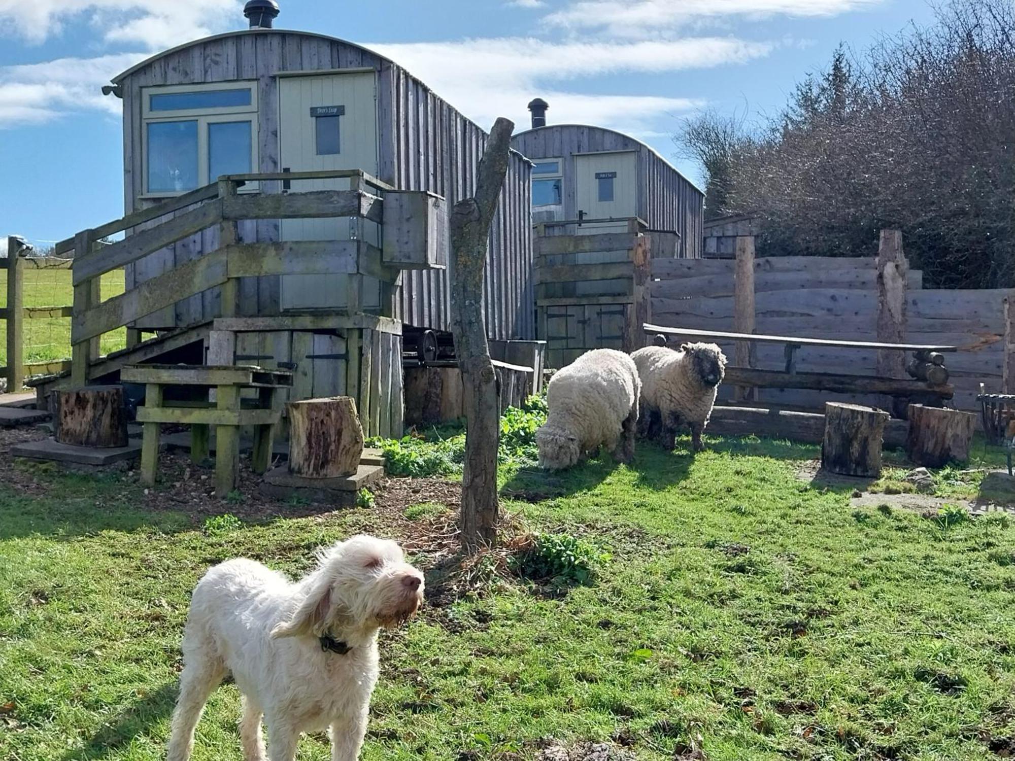 Meadowbeck - Shepherd Huts Fylingdales Zewnętrze zdjęcie