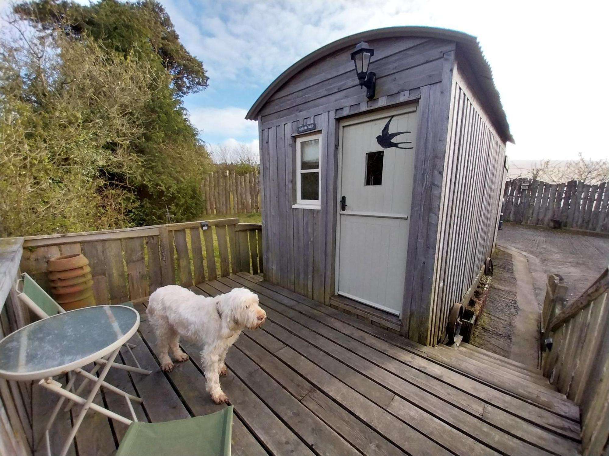 Meadowbeck - Shepherd Huts Fylingdales Zewnętrze zdjęcie