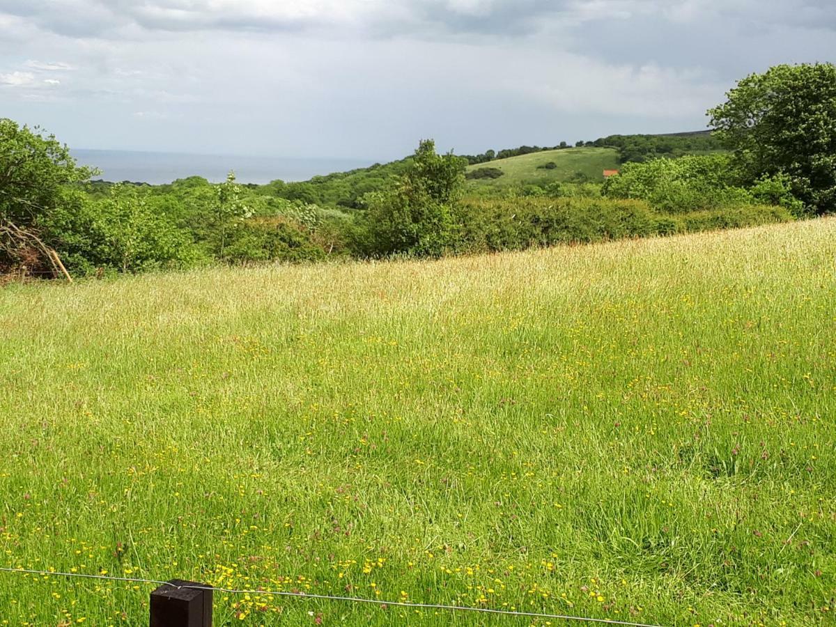 Meadowbeck - Shepherd Huts Fylingdales Zewnętrze zdjęcie